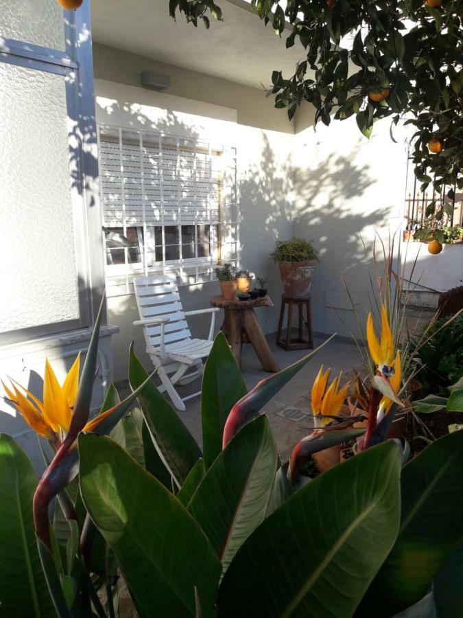 Sun House Apartment Cascais Ngoại thất bức ảnh